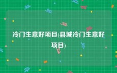 冷门生意好项目(县城冷门生意好项目)