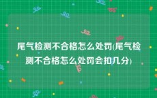 尾气检测不合格怎么处罚(尾气检测不合格怎么处罚会扣几分)