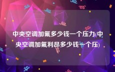 中央空调加氟多少钱一个压力(中央空调加氟利昂多少钱一个压)