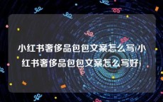 小红书奢侈品包包文案怎么写(小红书奢侈品包包文案怎么写好)