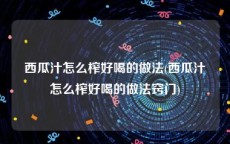 西瓜汁怎么榨好喝的做法(西瓜汁怎么榨好喝的做法窍门)