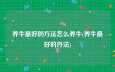 养牛最好的方法怎么养牛(养牛最好的办法)