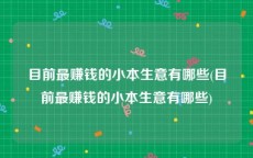 目前最赚钱的小本生意有哪些(目前最赚钱的小本生意有哪些)