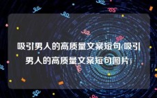 吸引男人的高质量文案短句(吸引男人的高质量文案短句图片)