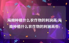 海南种植什么农作物的利润高(海南种植什么农作物的利润高些)
