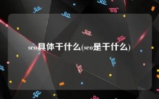 seo具体干什么(seo是干什么)