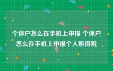 个体户怎么在手机上申报 个体户怎么在手机上申报个人所得税