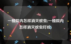一楼院内怎样消灭蚊虫(一楼院内怎样消灭蚊虫叮咬)