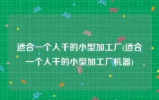 适合一个人干的小型加工厂(适合一个人干的小型加工厂机器)