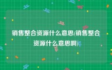 销售整合资源什么意思(销售整合资源什么意思啊)