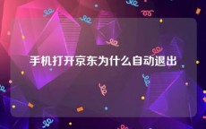 手机打开京东为什么自动退出