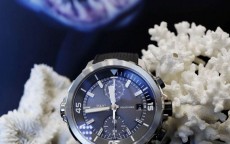 海洋时计怎么样(海洋主义口碑怎么样)