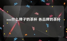 mm什么牌子奶茶杯 各品牌奶茶杯