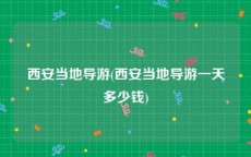 西安当地导游(西安当地导游一天多少钱)