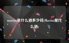 martini是什么酒多少钱(Martini是什么酒)
