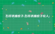 怎样诱捕蚊子(怎样诱捕蚊子咬人)