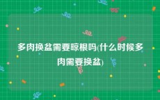 多肉换盆需要晾根吗(什么时候多肉需要换盆)