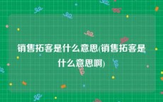 销售拓客是什么意思(销售拓客是什么意思啊)