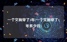 一个文胸穿了4年(一个文胸穿了4年多少钱)