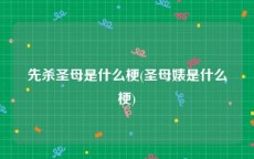 先杀圣母是什么梗(圣母婊是什么梗)