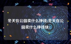 冬天在公园卖什么挣钱(冬天在公园卖什么挣钱快)