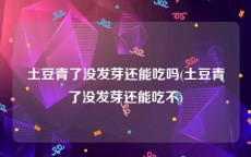 土豆青了没发芽还能吃吗(土豆青了没发芽还能吃不)