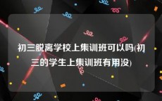 初三脱离学校上集训班可以吗(初三的学生上集训班有用没)