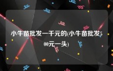 小牛苗批发一千元的(小牛苗批发500元一头)