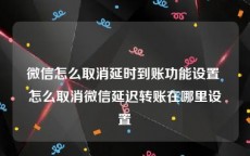 微信怎么取消延时到账功能设置 怎么取消微信延迟转账在哪里设置