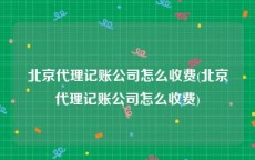 北京代理记账公司怎么收费(北京代理记账公司怎么收费)