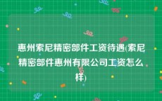 惠州索尼精密部件工资待遇(索尼精密部件惠州有限公司工资怎么样)