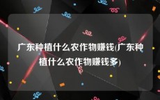 广东种植什么农作物赚钱(广东种植什么农作物赚钱多)