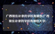 广西现在补录的学校有哪些(广西现在补录的学校有哪些大学)