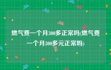 燃气费一个月300多正常吗(燃气费一个月300多元正常吗)