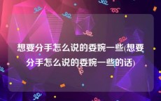 想要分手怎么说的委婉一些(想要分手怎么说的委婉一些的话)