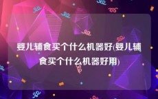 婴儿辅食买个什么机器好(婴儿辅食买个什么机器好用)