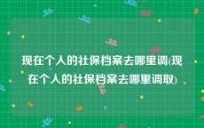 现在个人的社保档案去哪里调(现在个人的社保档案去哪里调取)