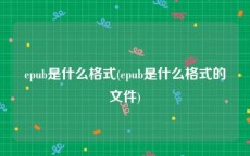 epub是什么格式(epub是什么格式的文件)