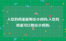 人吃的鸡蛋能孵出小鸡吗(人吃的鸡蛋可以孵出小鸡吗)