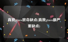 真我gtneo致命缺点(真我gtneo最严重缺点)