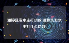 潘婷洗发水主打功效(潘婷洗发水主打什么功效)