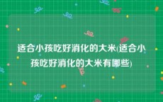 适合小孩吃好消化的大米(适合小孩吃好消化的大米有哪些)