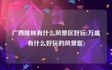 广西隆林有什么风景区好玩(万盛有什么好玩的风景区)