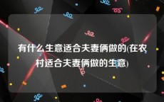 有什么生意适合夫妻俩做的(在农村适合夫妻俩做的生意)