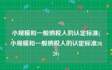 小规模和一般纳税人的认定标准(小规模和一般纳税人的认定标准2020)