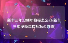 新车三年没领年检标怎么办(新车三年没领年检标怎么办啊)