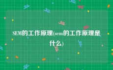 SEM的工作原理(sem的工作原理是什么)