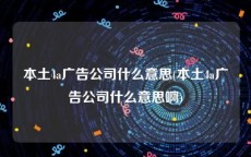 本土4a广告公司什么意思(本土4a广告公司什么意思啊)