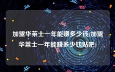 加盟华莱士一年能赚多少钱(加盟华莱士一年能赚多少钱贴吧)