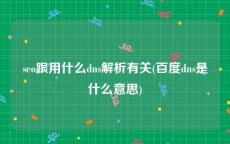 seo跟用什么dns解析有关(百度dns是什么意思)